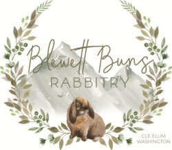 Blewett Buns Rabbitry logo